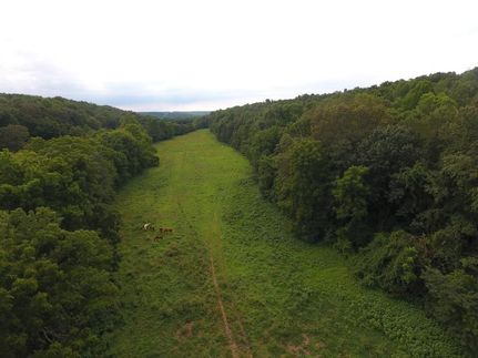 Horse Property in Hickman County, Tennessee