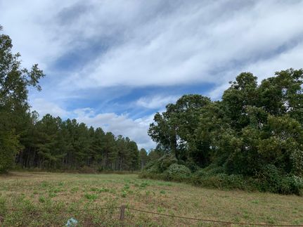 Timberland Property in Greenville County, South Carolina