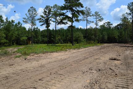 Timberland Property in Peach County, Georgia