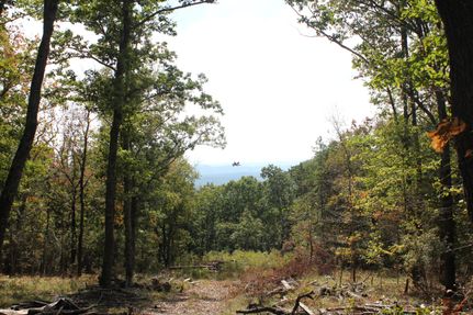 Ranch Property in Cherokee County, Alabama