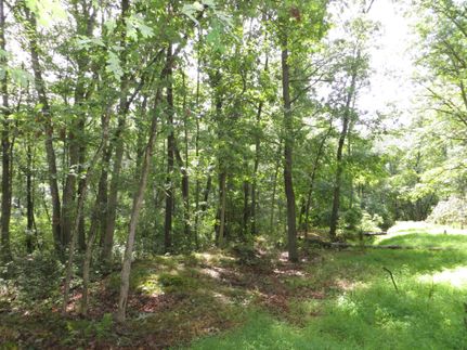 Timberland Property in Ocean County, New Jersey