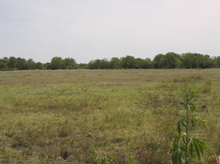 Undeveloped Land in Fayette County, Texas