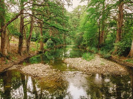 Hunting Land in Uvalde County, Texas