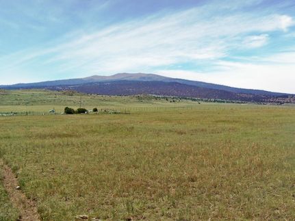 Farm Property in Union County, New Mexico