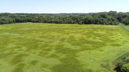 Farm Property in Monroe County, Iowa