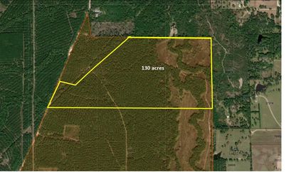 Undeveloped Land in Polk County, Texas