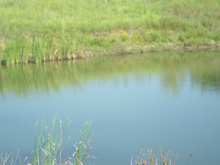 Ranch Property in Anderson County, Kansas