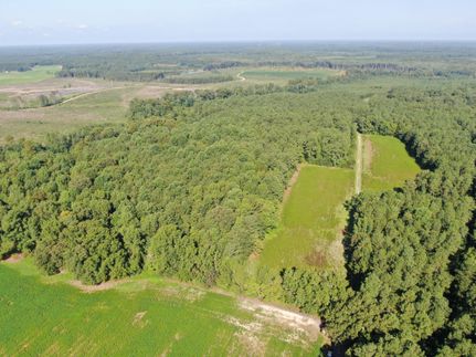 Farm Property in Hertford County, North Carolina