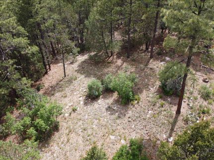 Property in Torrance County, New Mexico