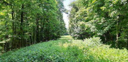 Farm Property in Wetzel County, West Virginia