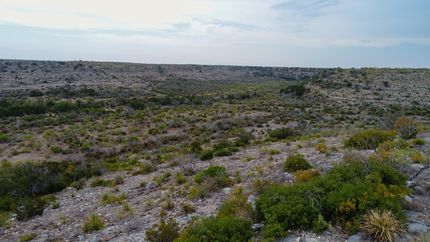 Farm Property in Crockett County, Texas