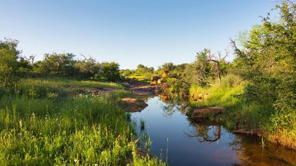 Farm Property in Llano County, Texas