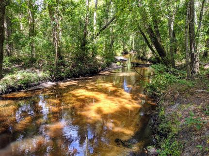 Farm Property in Jefferson County, Florida