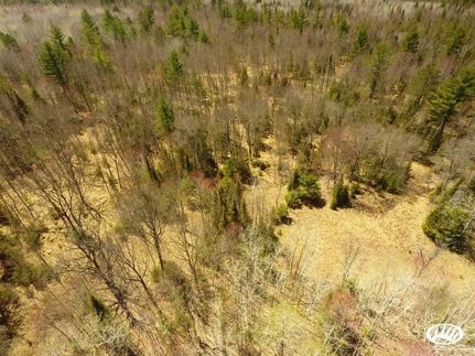 Hunting Land in Marinette County, Wisconsin