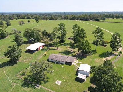 Timberland Property in Leon County, Texas