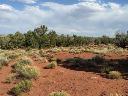 Farm Property in Apache County, Arizona