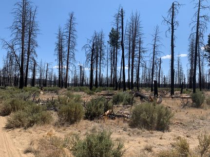 Recreational Property in Klamath County, Oregon