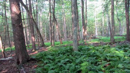 Property in Sullivan County, New York