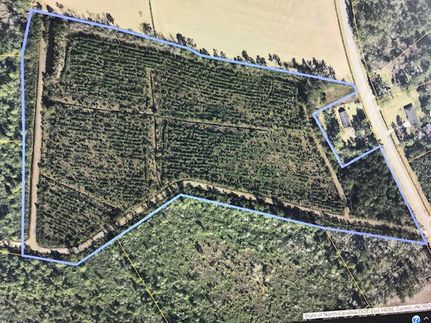 Horse Property in Horry County, South Carolina