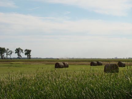 Farm Property in Eddy County, North Dakota