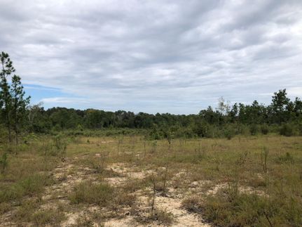 Timberland Property in Aiken County, South Carolina