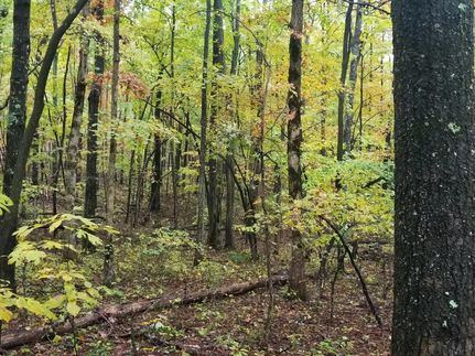 Hunting Land in Franklin County, Tennessee