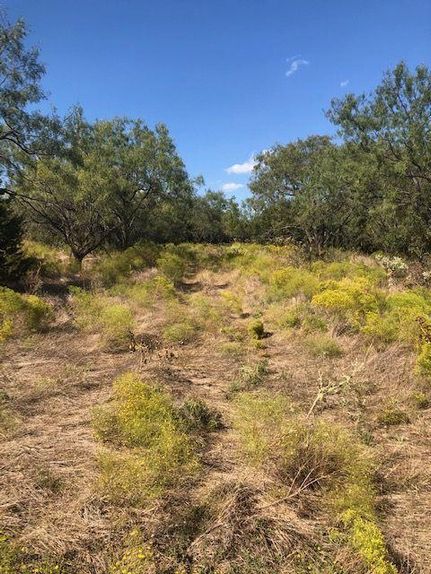 Ranch Property in Stephens County, Texas