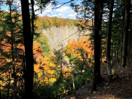 Recreational Property in Jefferson County, New York
