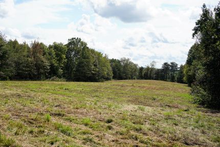 Timberland Property in Yadkin County, North Carolina