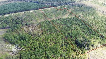 Farm Property in Nassau County, Florida