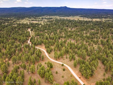 Farm Property in Cibola County, New Mexico