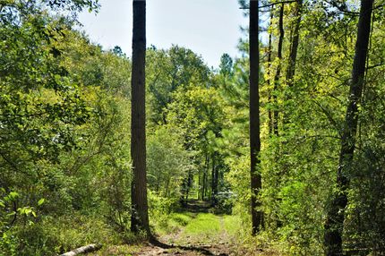 Farm Property in Grimes County, Texas