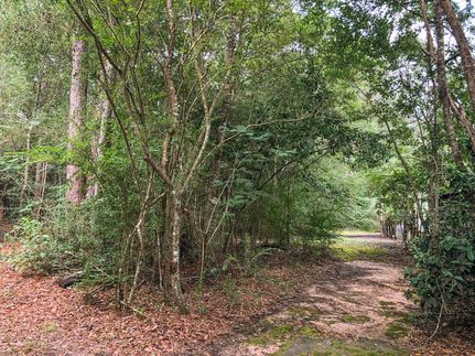 Farm Property in Hardin County, Texas