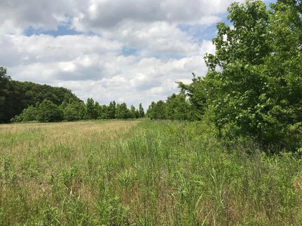 Property in Madison Parish, Louisiana