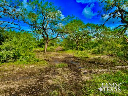 Ranch Property in Jim Wells County, Texas