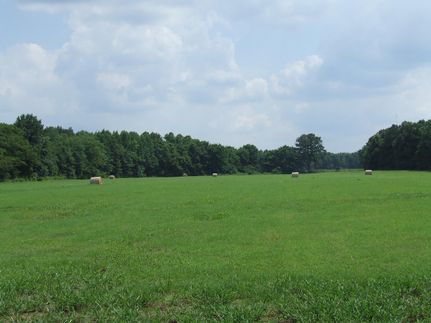 Ranch Property in Marshall County, Mississippi