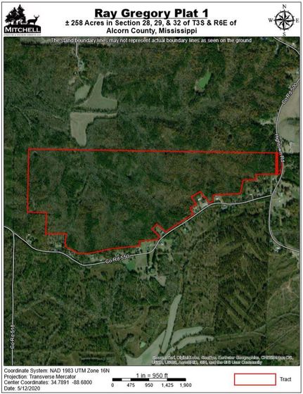 Timberland Property in Alcorn County, Mississippi
