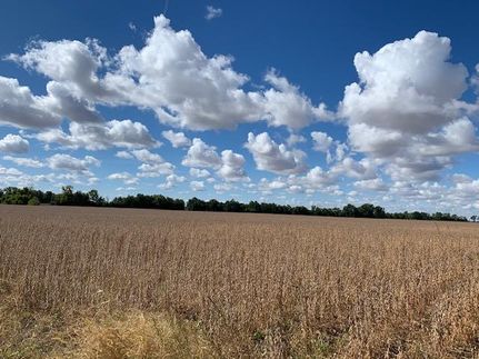 Farm Property in Greene County, Indiana