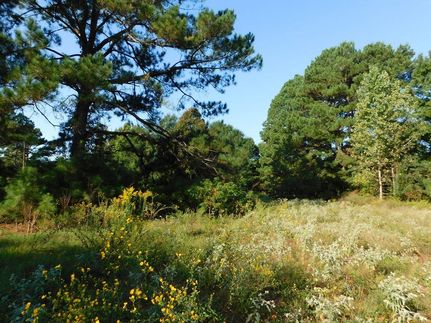 Ranch Property in Smith County, Texas