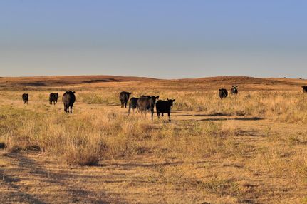 Property in Clark County, Kansas