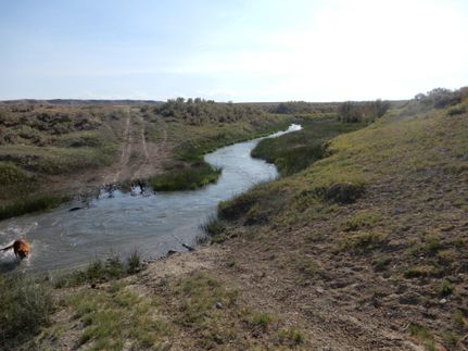 Undeveloped Land in Fremont County, Wyoming