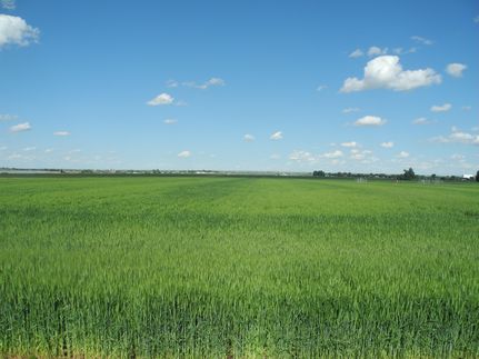 Property in Weld County, Colorado