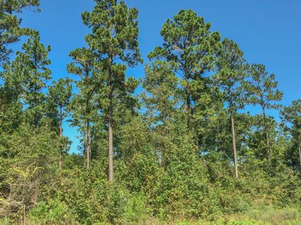Recreational Property in San Jacinto County, Texas