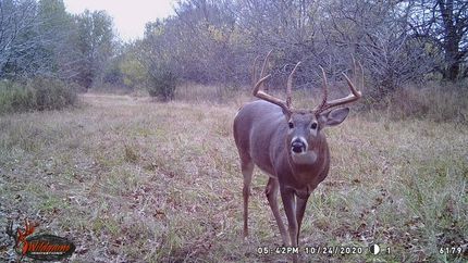 Farm Property in Bates County, Missouri