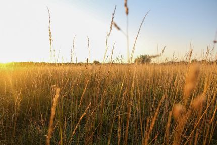 Property in Montgomery County, Kansas