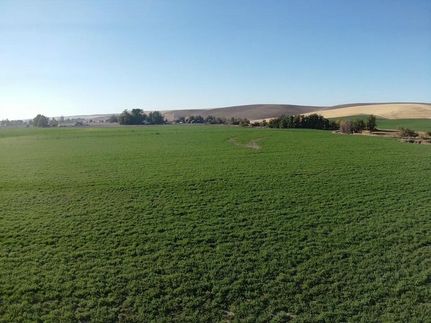 Farm Property in Walla Walla County, Washington