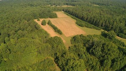 Timberland Property in Oktibbeha County, Mississippi