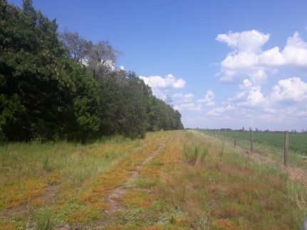 Farm Property in Santa Rosa County, Florida
