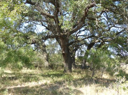Farm Property in McCulloch County, Texas
