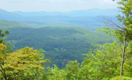 Ranch Property for sale in Fannin County, Georgia